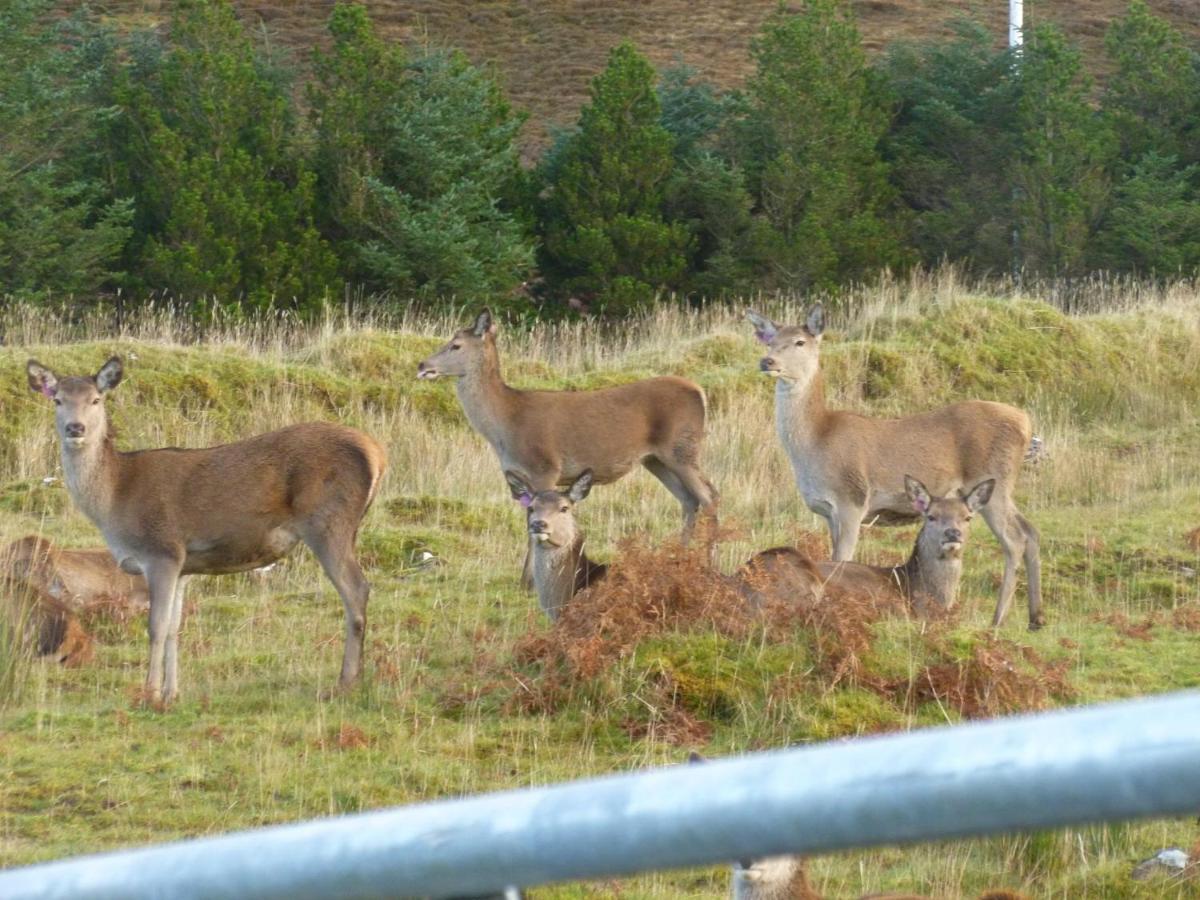 Stags View Holiday Home Portree Dış mekan fotoğraf