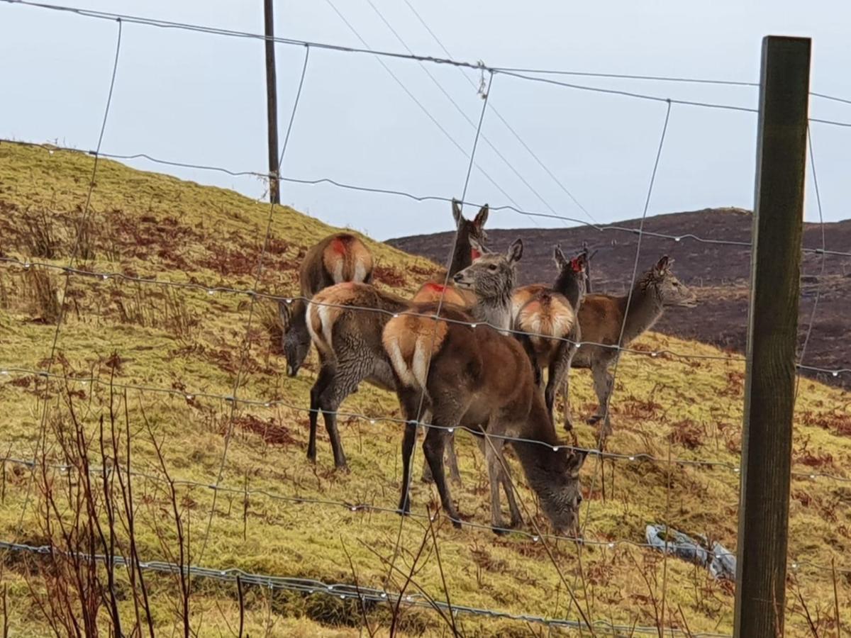 Stags View Holiday Home Portree Dış mekan fotoğraf